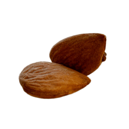 Mandorla-tuono-Sgusciata