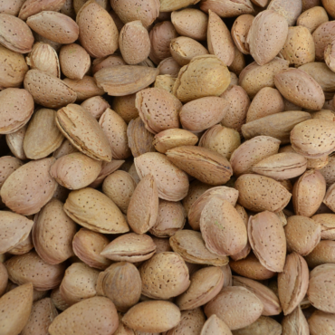Mandorle-con-guscio-agricola-ledda