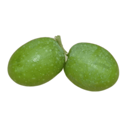 olive-tonda-iblea-agricola-ledda