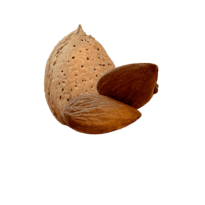 mandorle