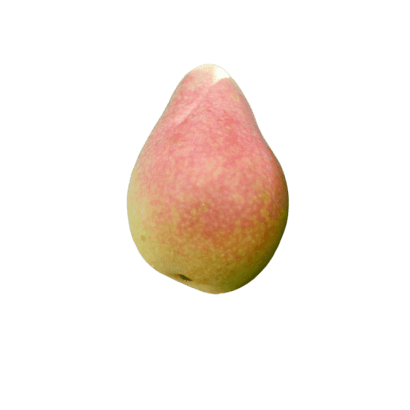 pere-coscia