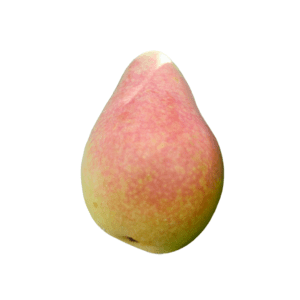 pera-coscia-agricola-ledda